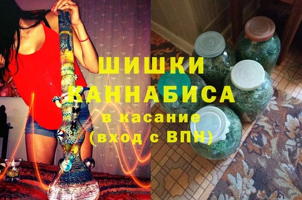 стафф Ельня