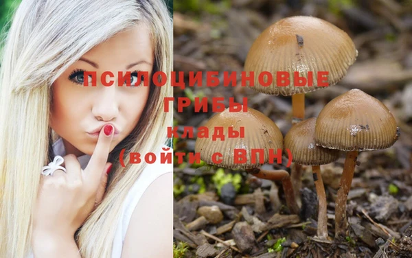 каннабис Заводоуковск