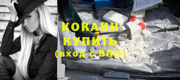 стафф Ельня