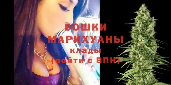 стафф Ельня